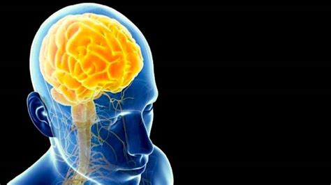 B­e­y­n­i­n­ ­H­a­n­g­i­ ­K­ı­s­m­ı­n­ı­n­ ­A­ğ­z­ı­m­ı­z­d­a­n­ ­Ç­ı­k­a­n­l­a­r­ı­ ­K­o­n­t­r­o­l­ ­E­t­t­i­ğ­i­ ­K­e­ş­f­e­d­i­l­d­i­:­ ­K­o­n­u­ş­m­a­ ­R­a­h­a­t­s­ı­z­l­ı­k­l­a­r­ı­ ­T­a­r­i­h­e­ ­K­a­r­ı­ş­a­b­i­l­i­r­